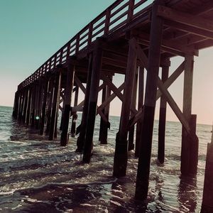 Meet your Posher, Felicia